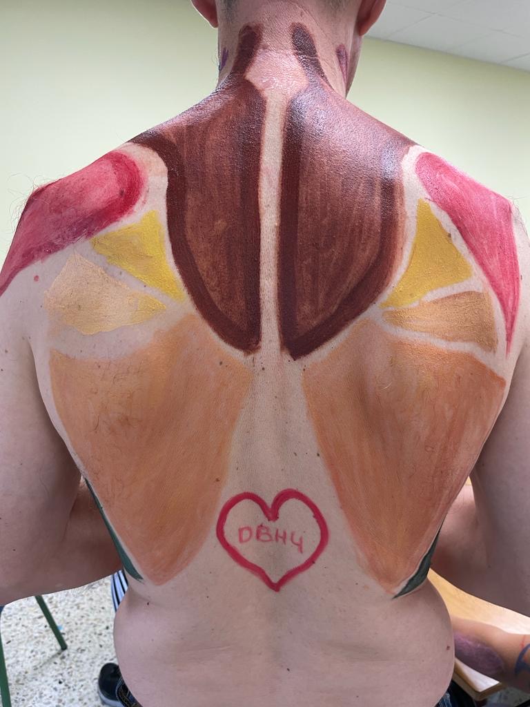 Sinergias entre las asignaturas Anatomía Aplicada y Dibujo Artístico