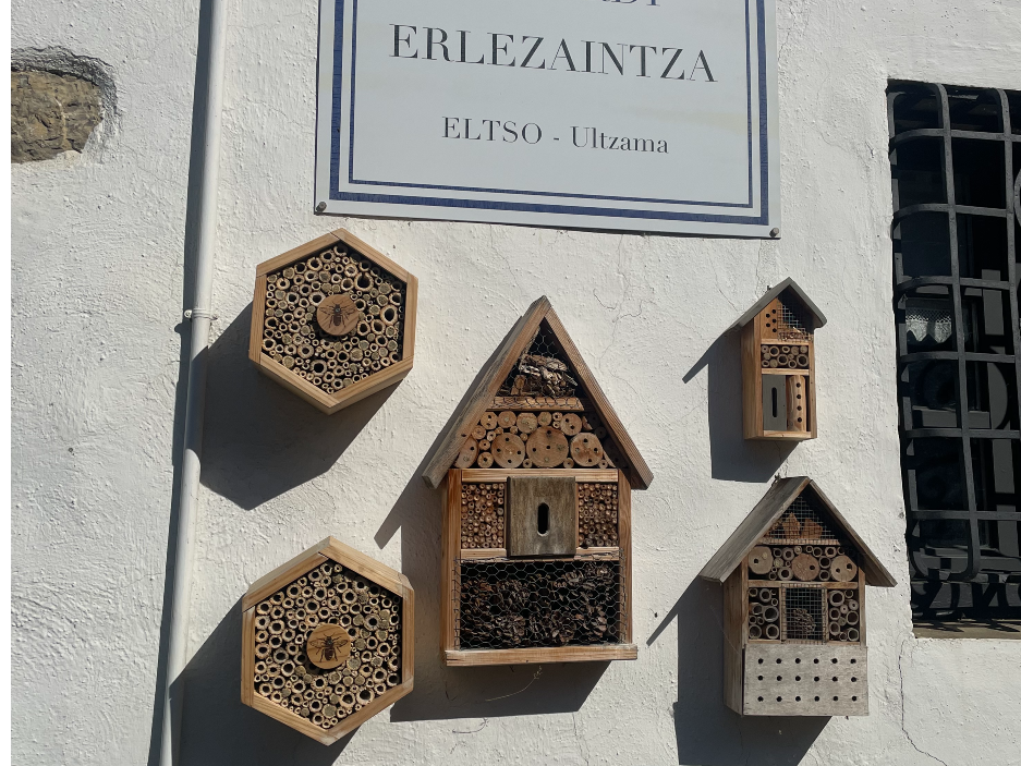 Visita al Museo de las Abejas de Eltso