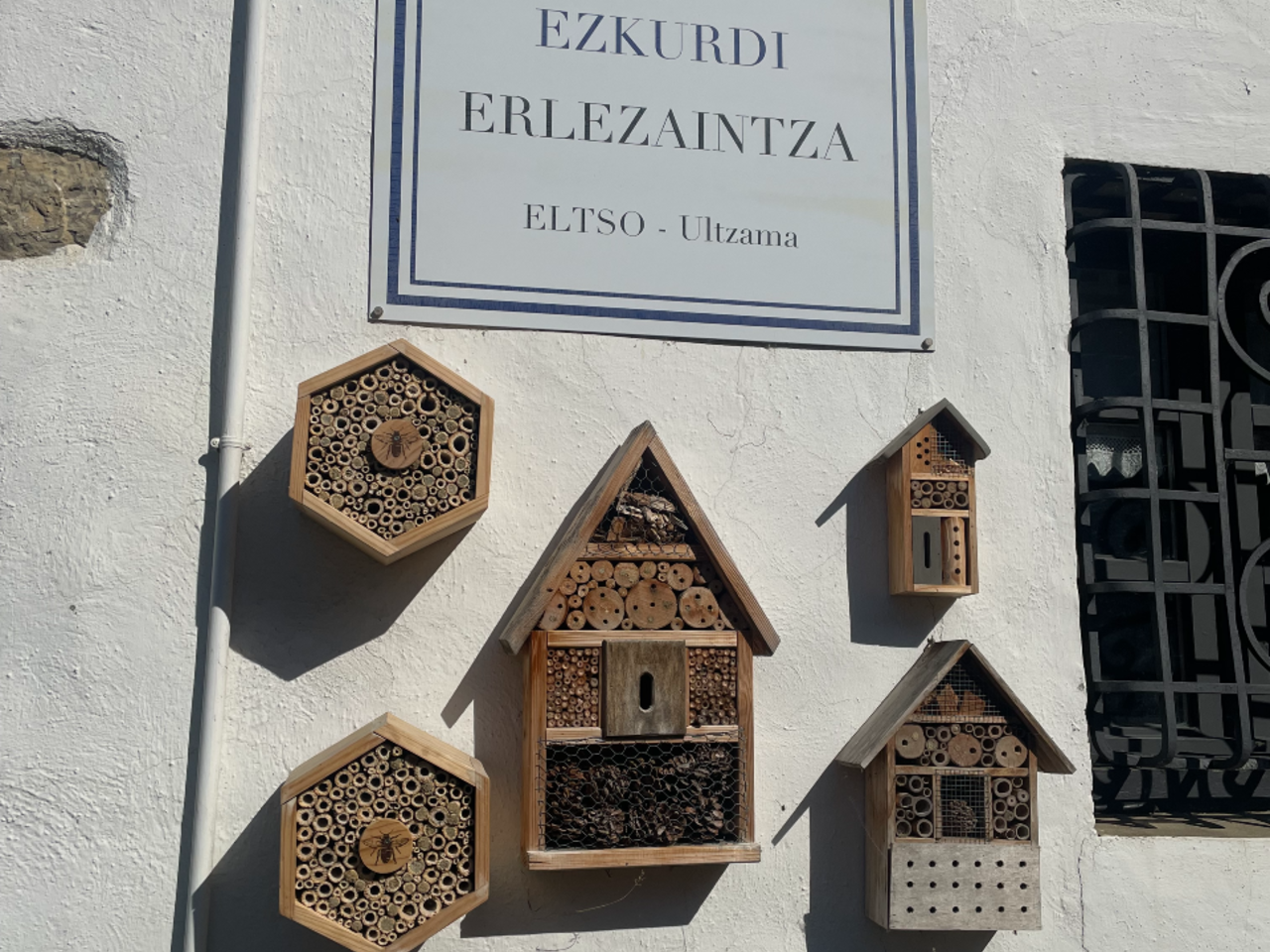 Eltsoko Erleen museora bisita