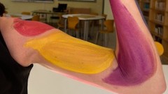 Una forma artística y 